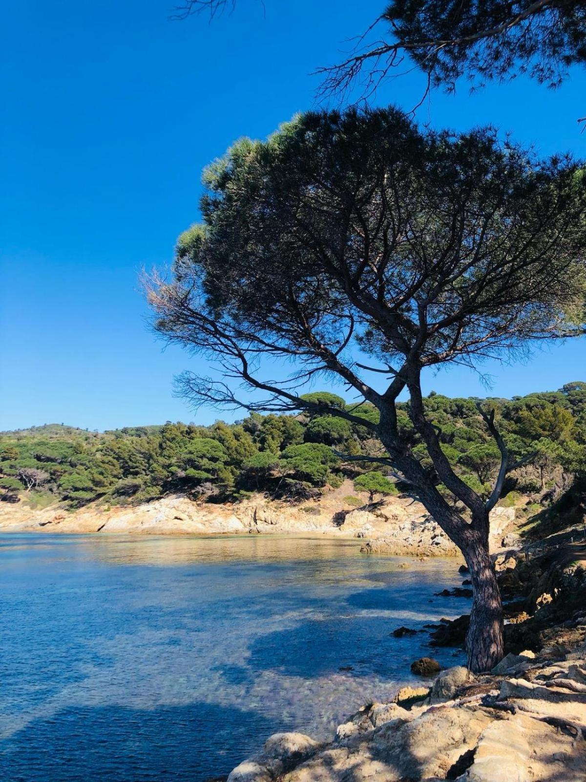 Studio Pool House Vue Mer Panoramique Amazing Sea View Wifi Linge Linen Inclut Aircondition La Croix-Valmer Bagian luar foto